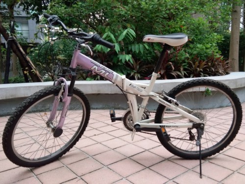 折疊腳踏車-台灣冒險學習發展協會(已捐出)